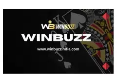  The Thrill of Cricket Betting on Winbuzz