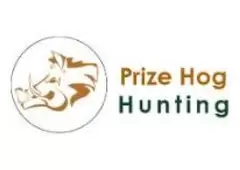 Prize Hog Hunting